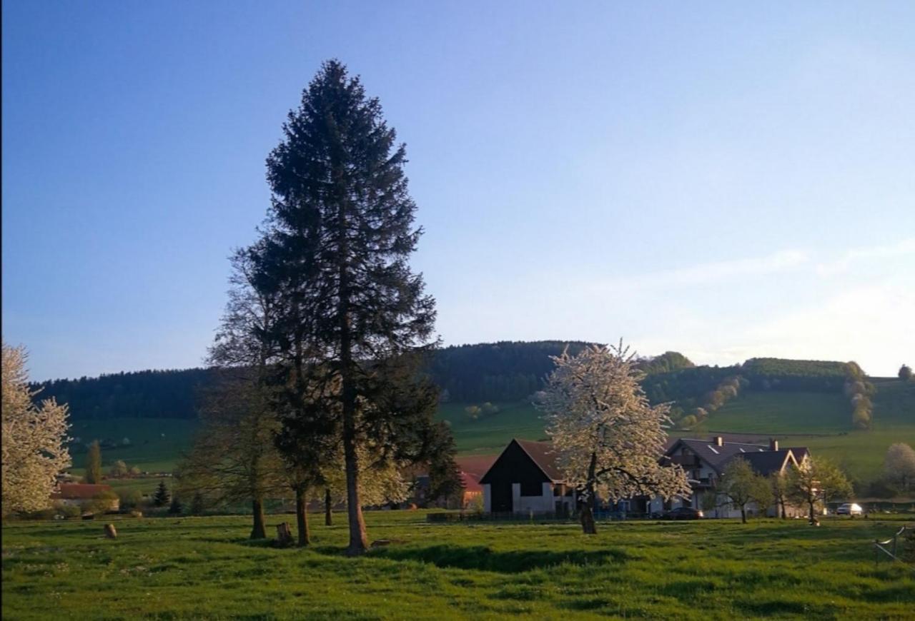 Agroturystyka "U Kasi" Scinawka Gorna Exterior photo