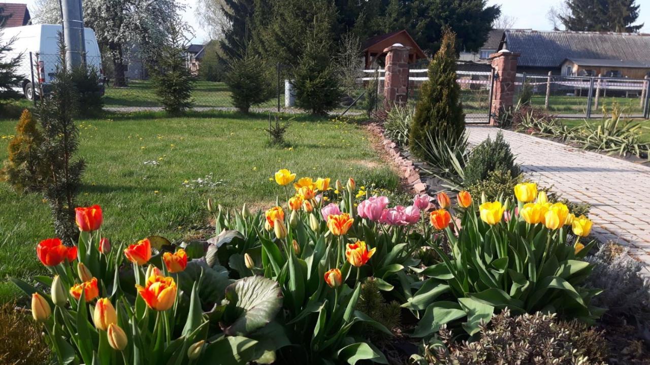 Agroturystyka "U Kasi" Scinawka Gorna Exterior photo