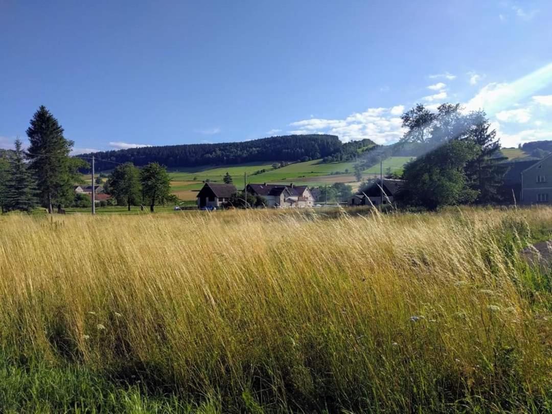 Agroturystyka "U Kasi" Scinawka Gorna Exterior photo