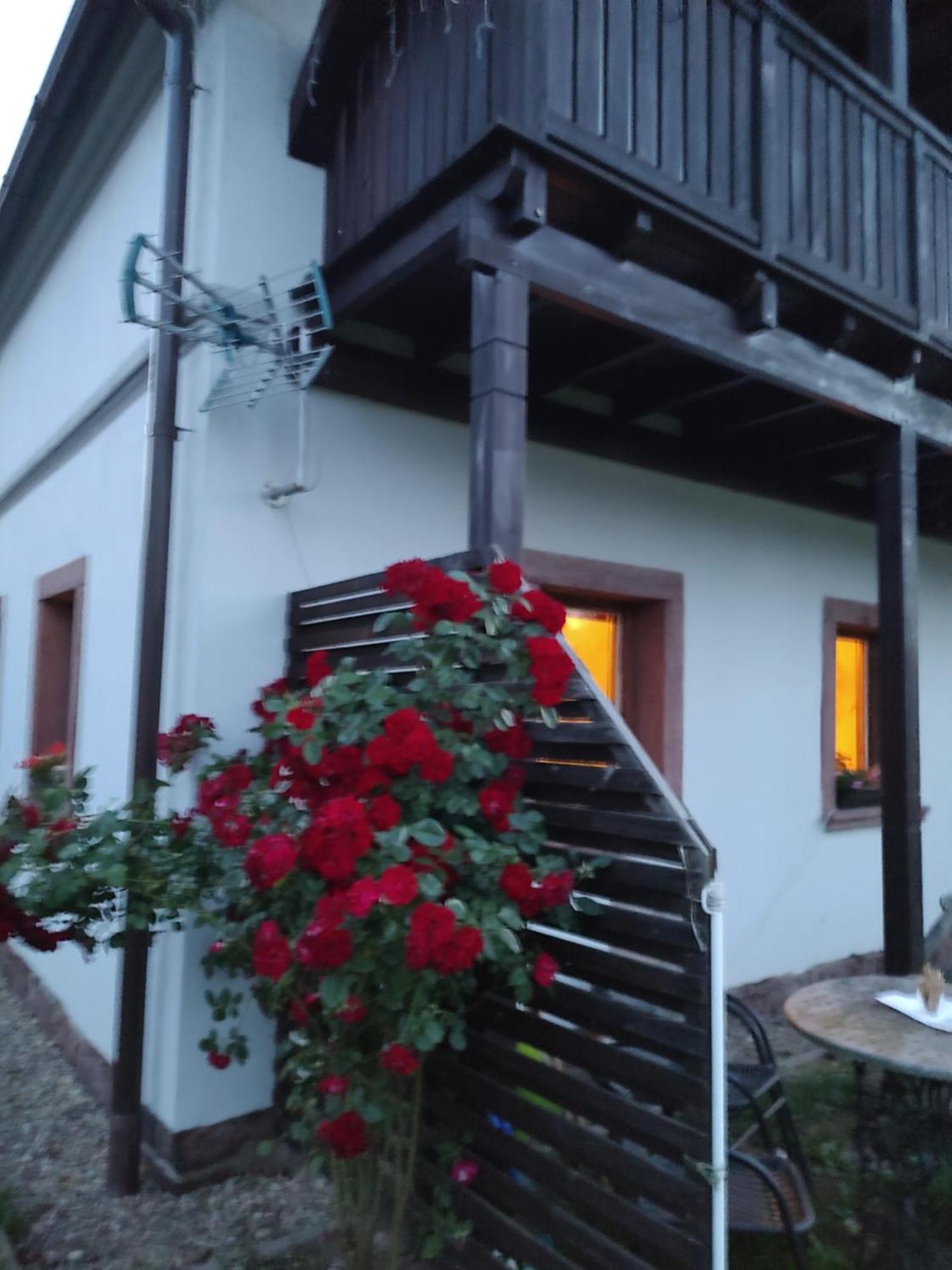Agroturystyka "U Kasi" Scinawka Gorna Exterior photo