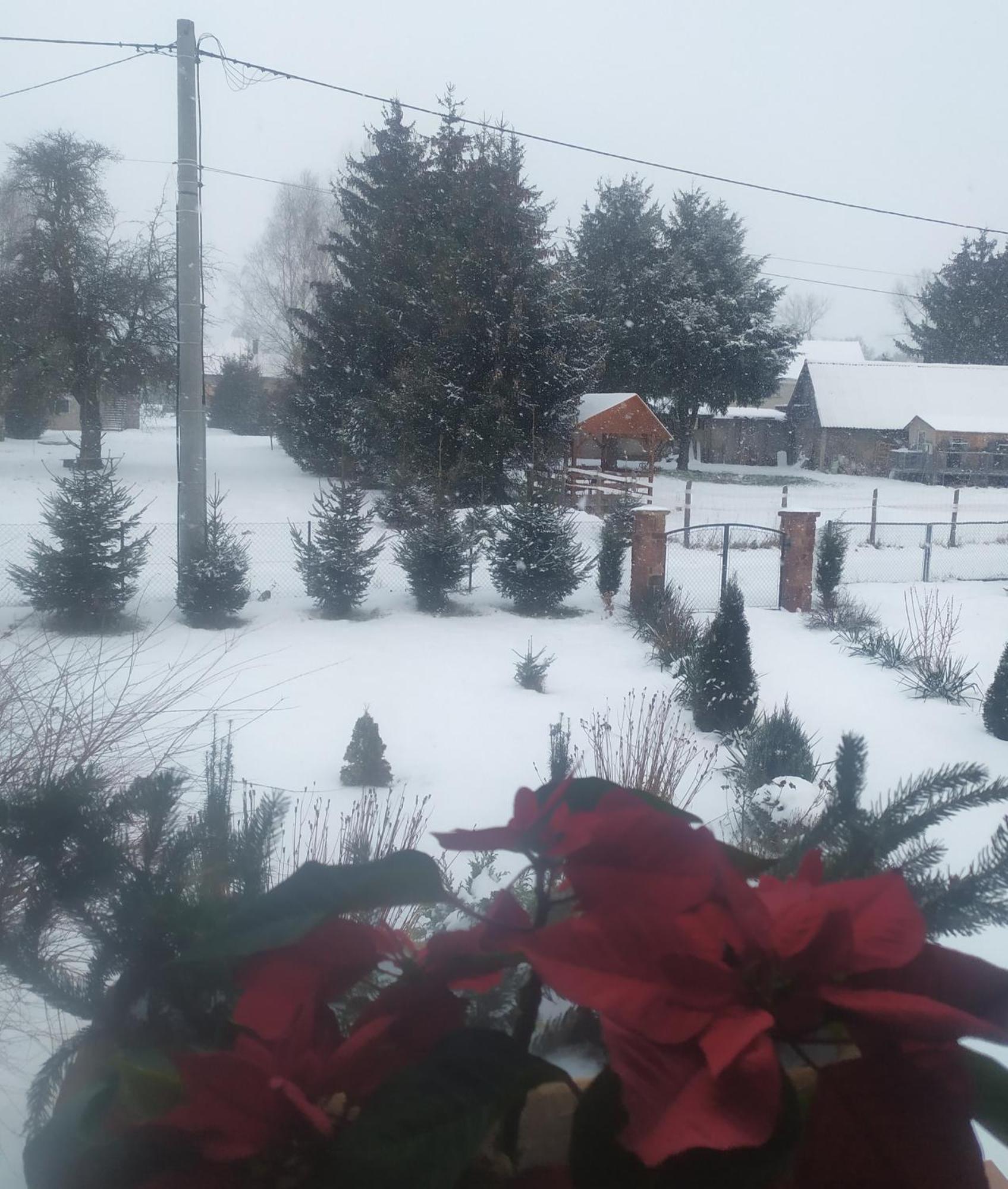 Agroturystyka "U Kasi" Scinawka Gorna Exterior photo