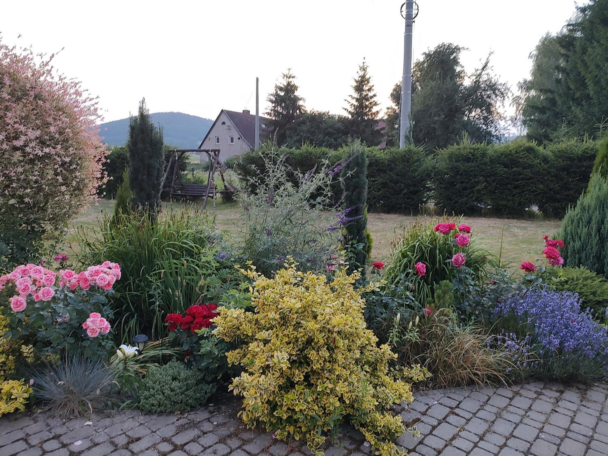 Agroturystyka "U Kasi" Scinawka Gorna Exterior photo