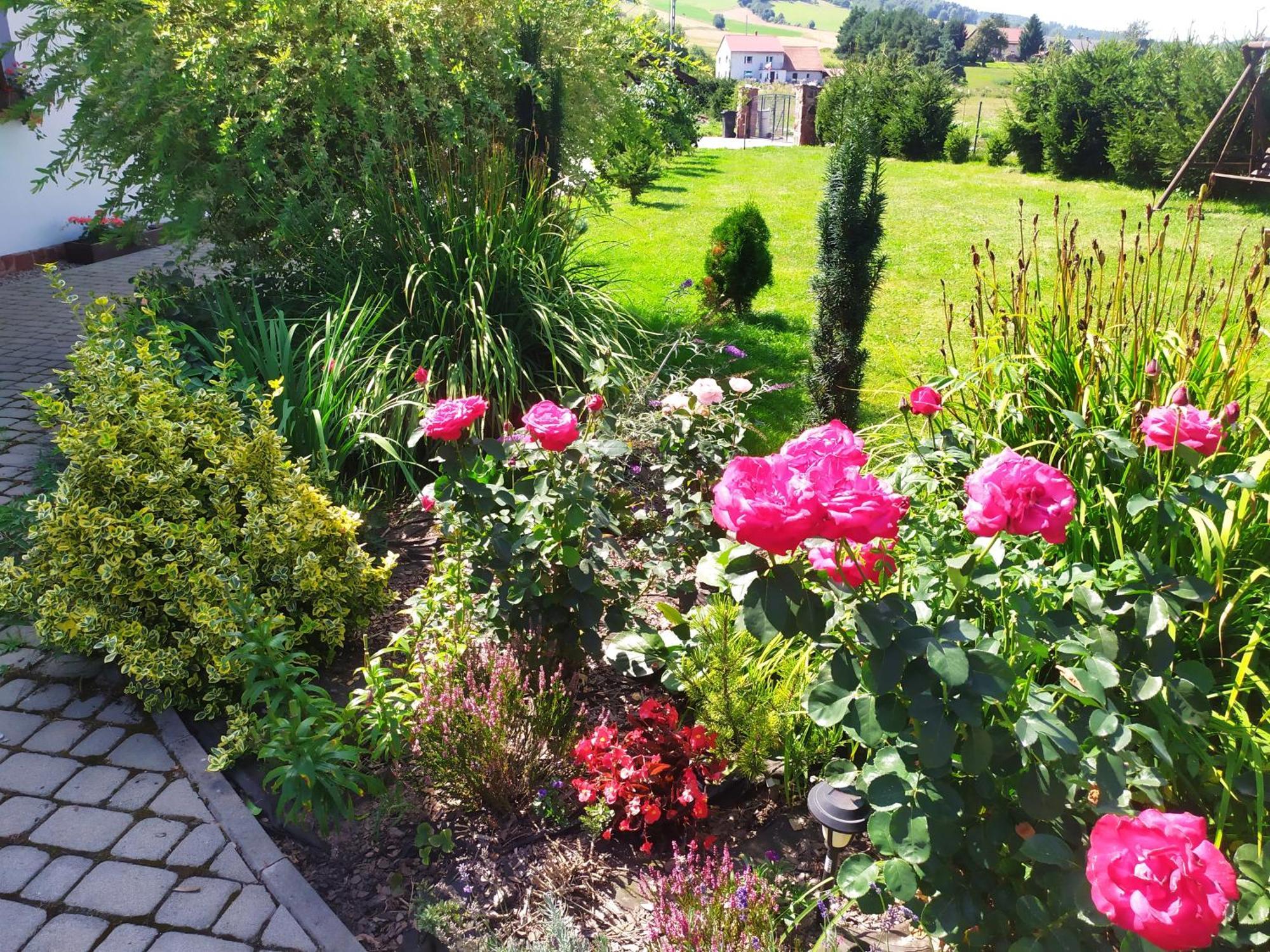 Agroturystyka "U Kasi" Scinawka Gorna Exterior photo